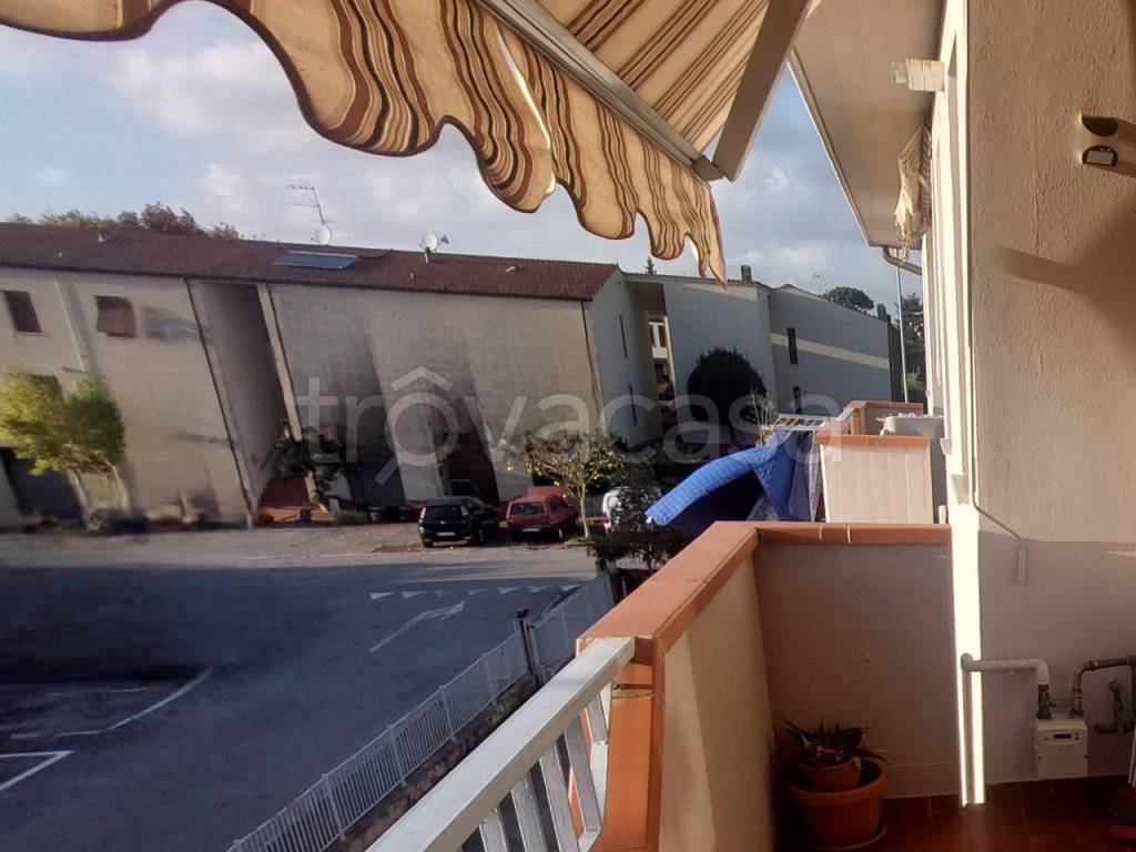 immagine annuncio 12 di 15