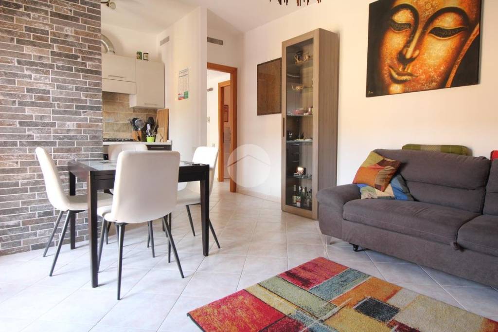 immagine annuncio 1 di 14