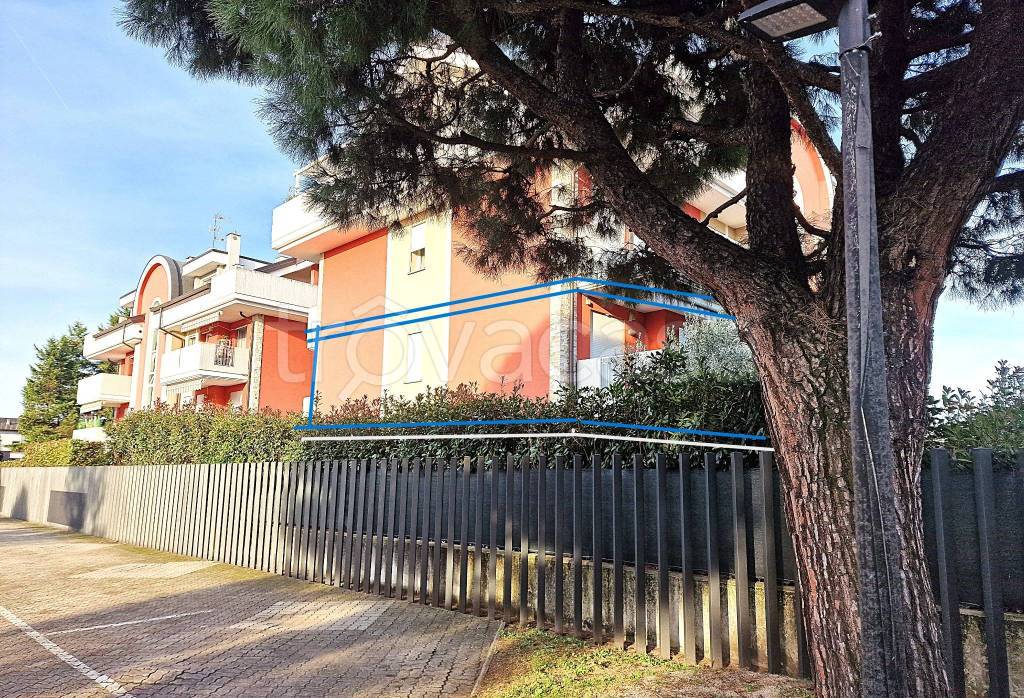 immagine annuncio 2 di 15