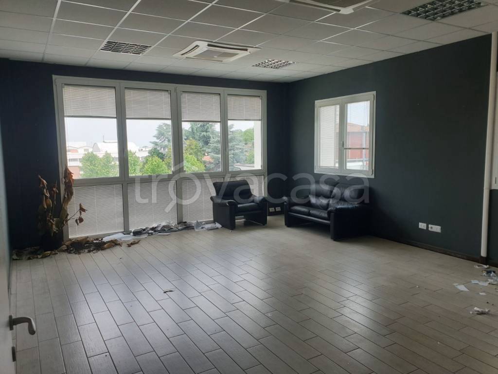 immagine annuncio 9 di 12