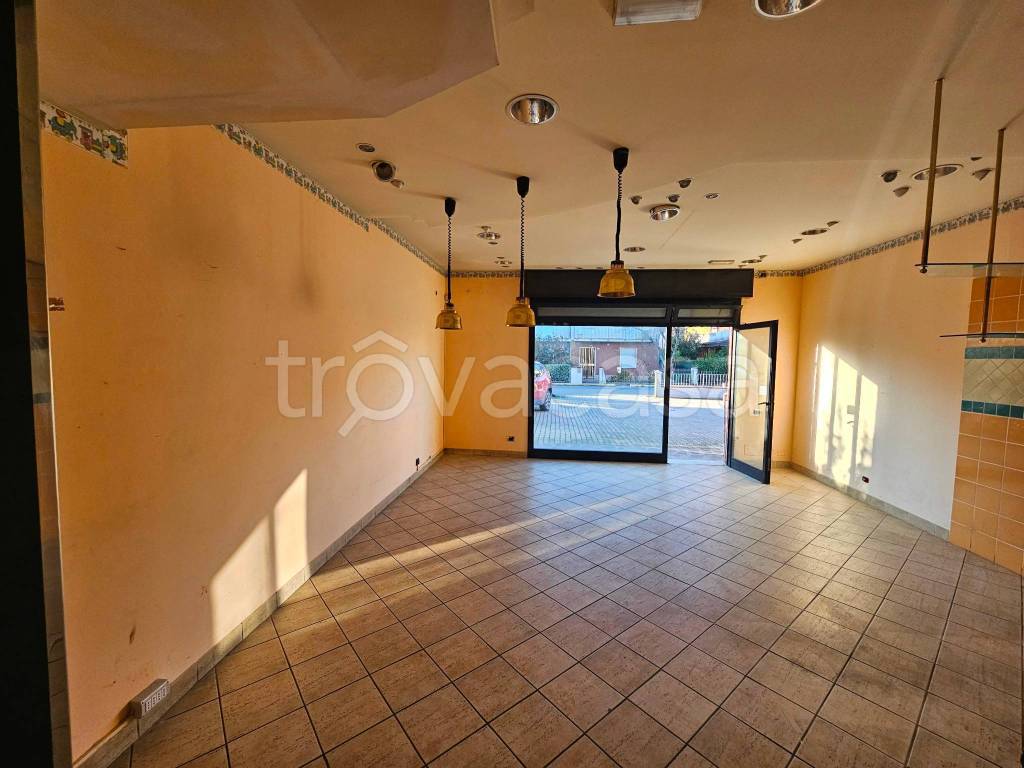 immagine annuncio 2 di 8