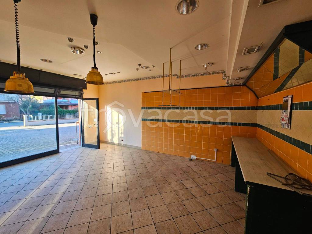 immagine annuncio 4 di 8