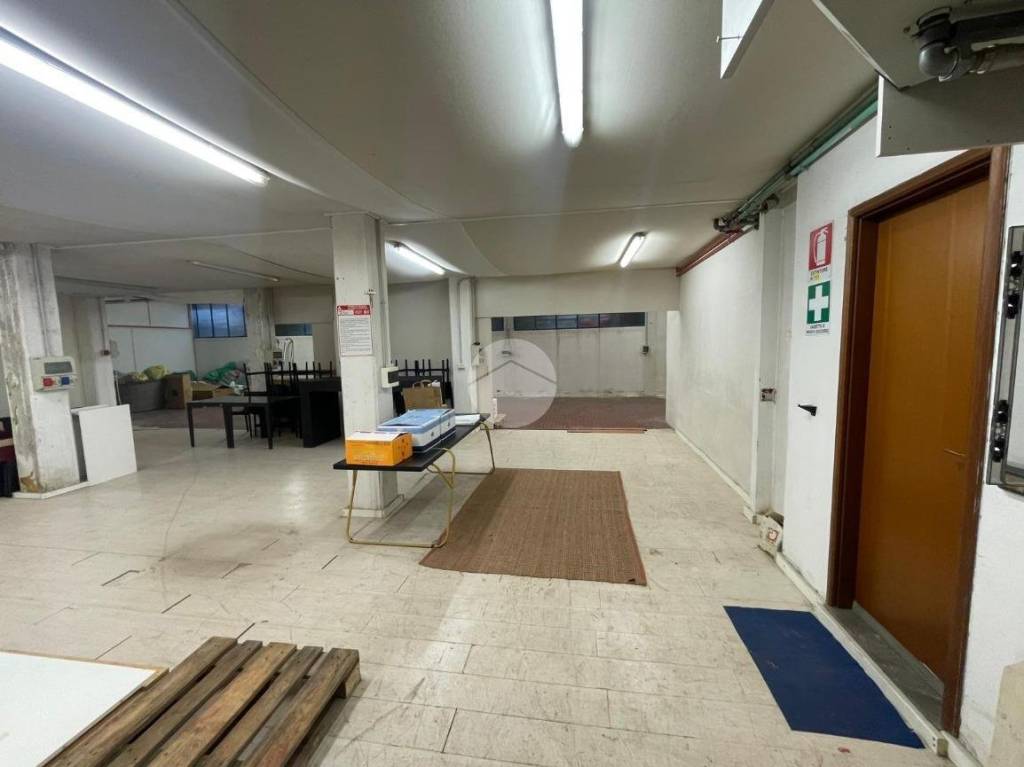 immagine annuncio 4 di 12