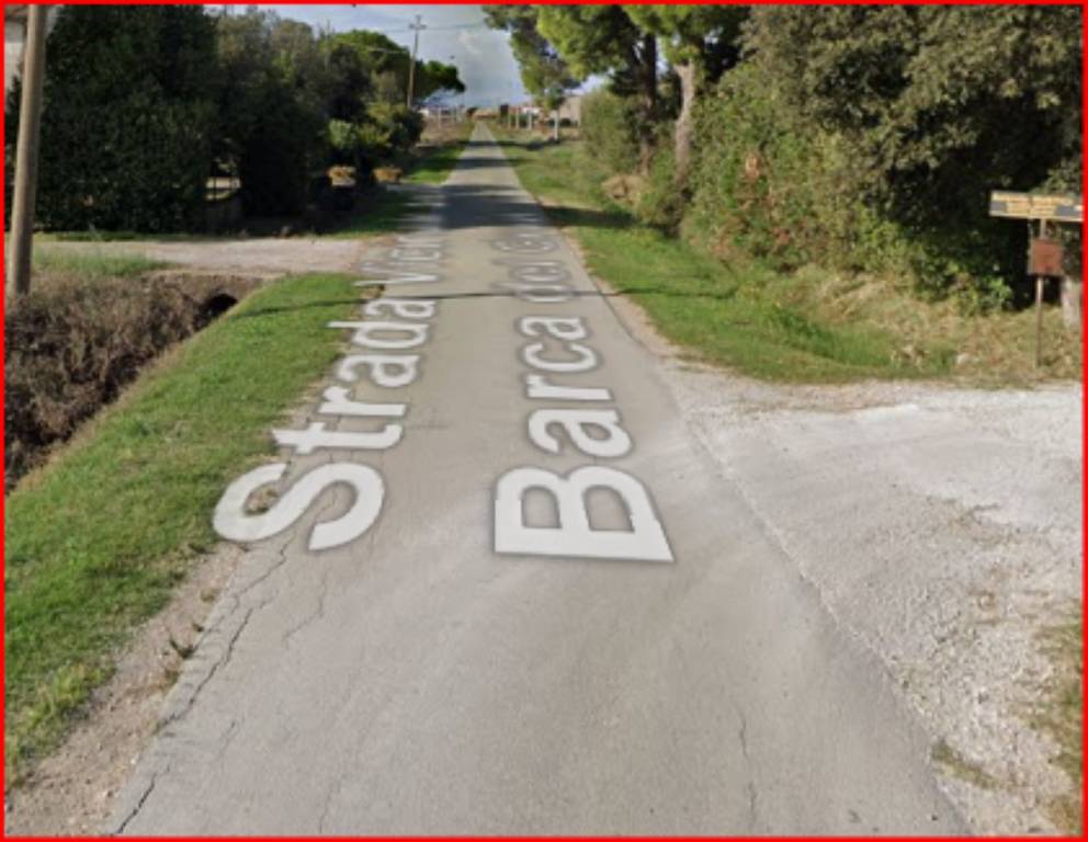 immagine annuncio 5 di 12