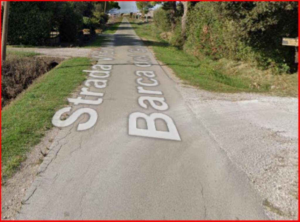 immagine annuncio 9 di 12