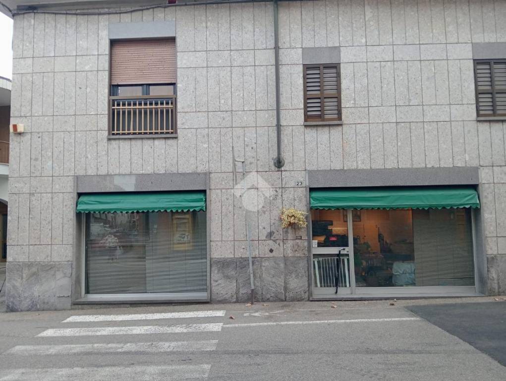 immagine annuncio 3 di 11