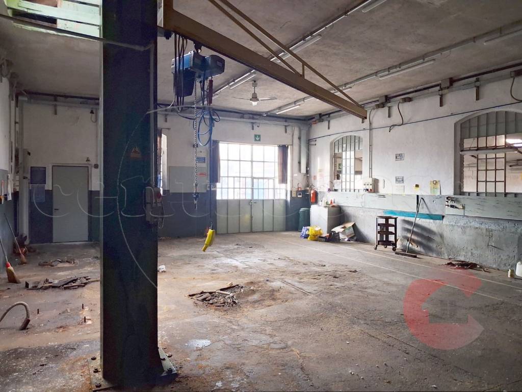 immagine annuncio 4 di 15