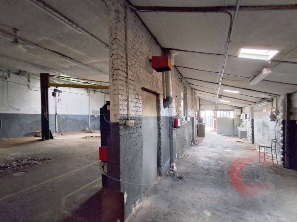 immagine annuncio 10 di 15