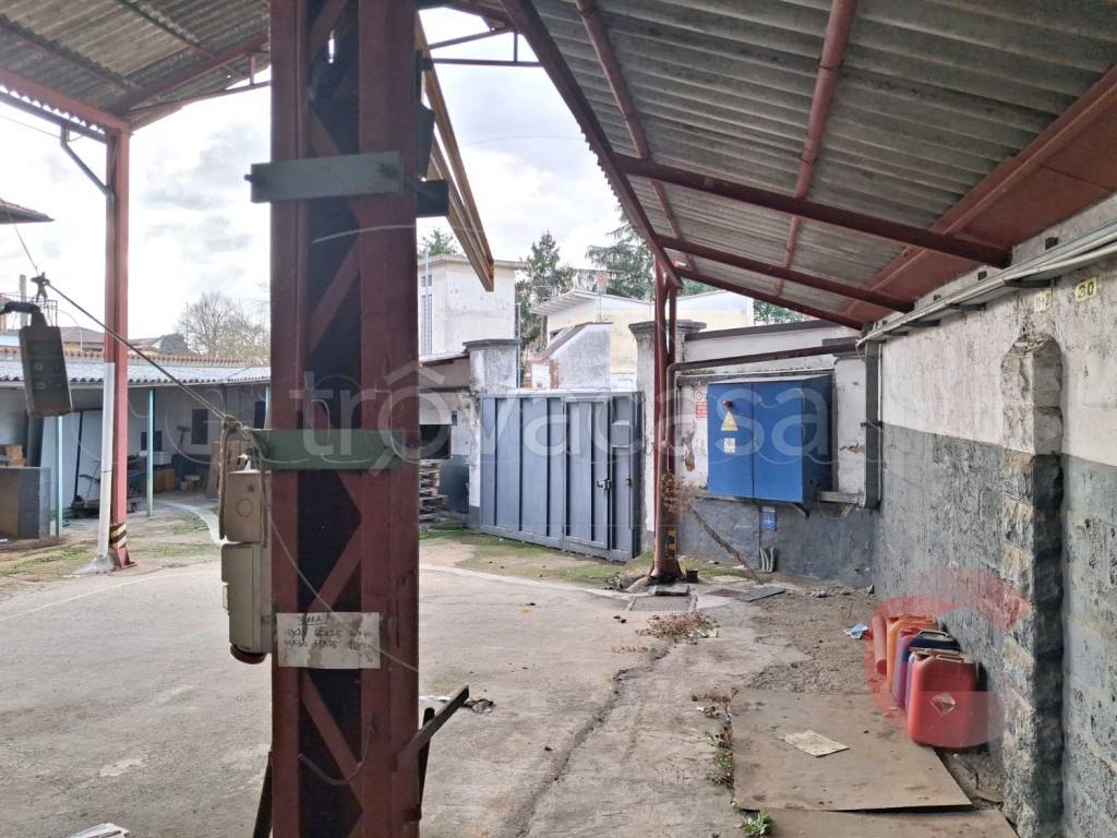 immagine annuncio 14 di 15