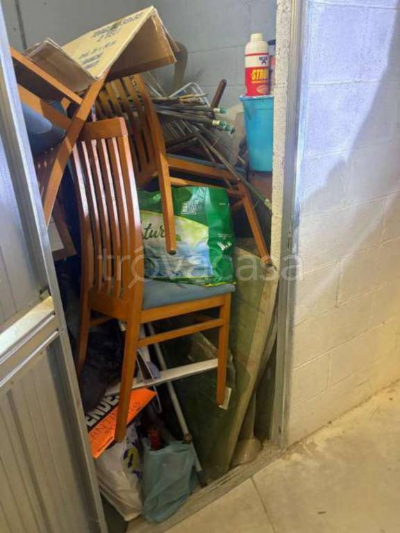 immagine annuncio 5 di 14