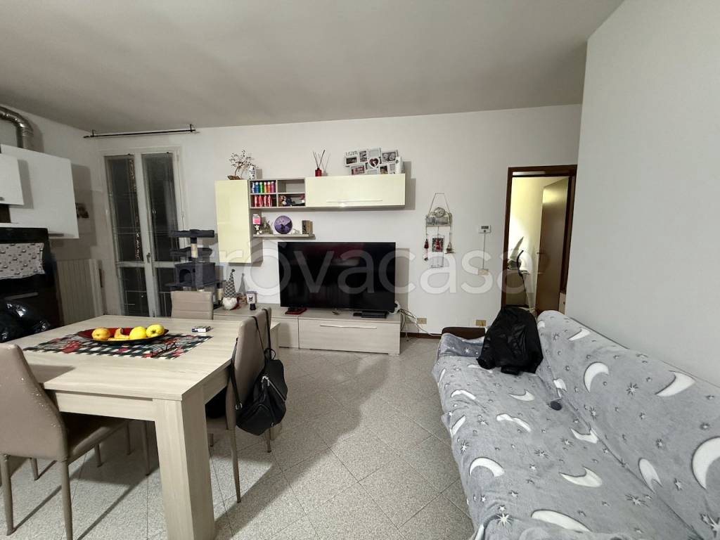 immagine annuncio 2 di 12