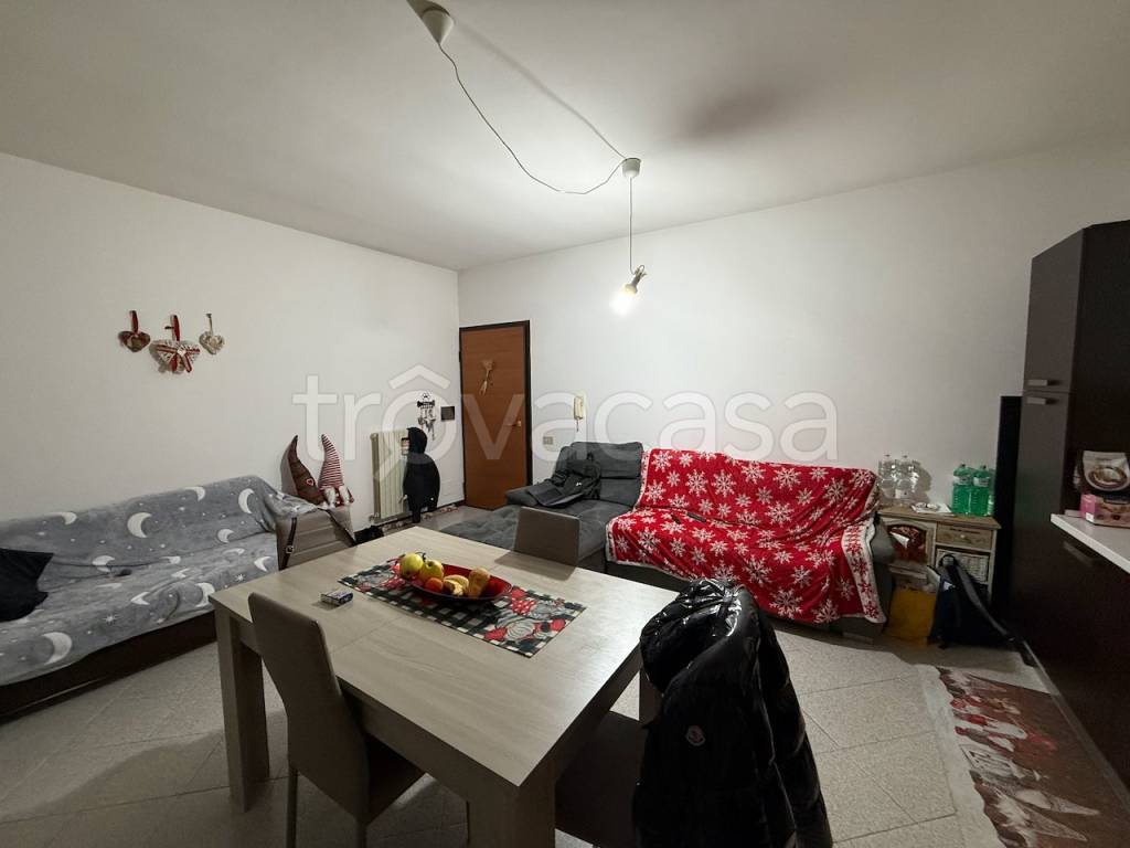 immagine annuncio 3 di 12