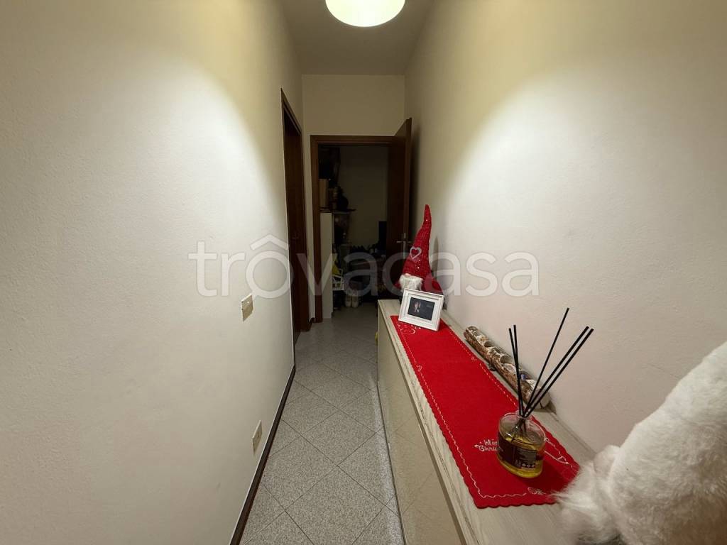 immagine annuncio 9 di 12