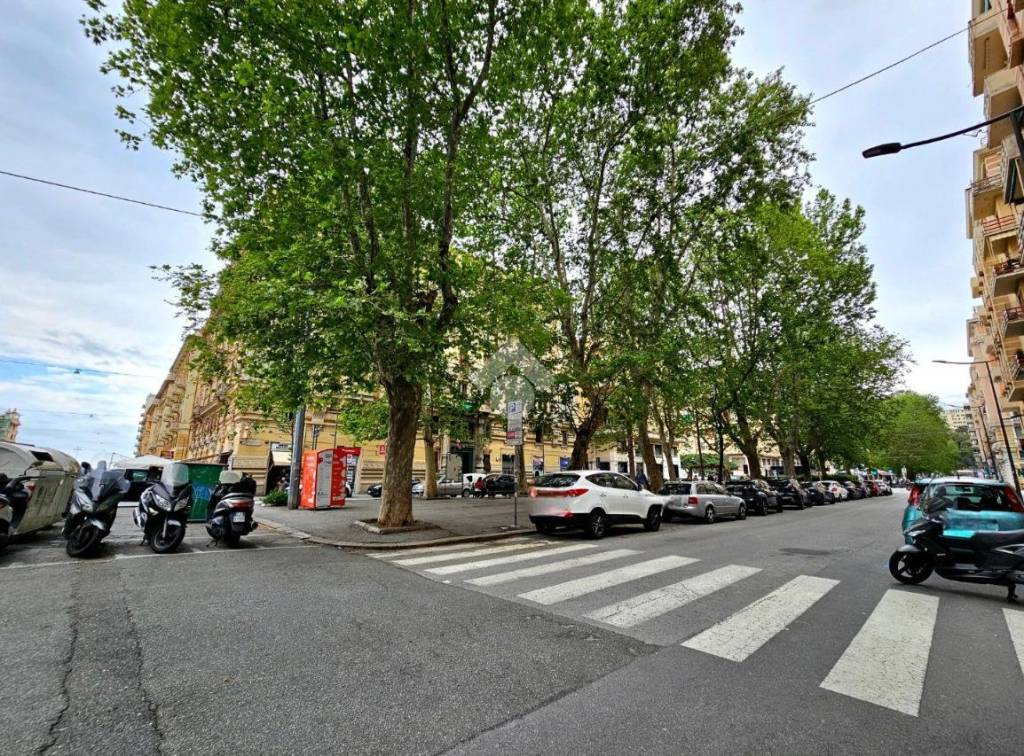 immagine annuncio 4 di 7