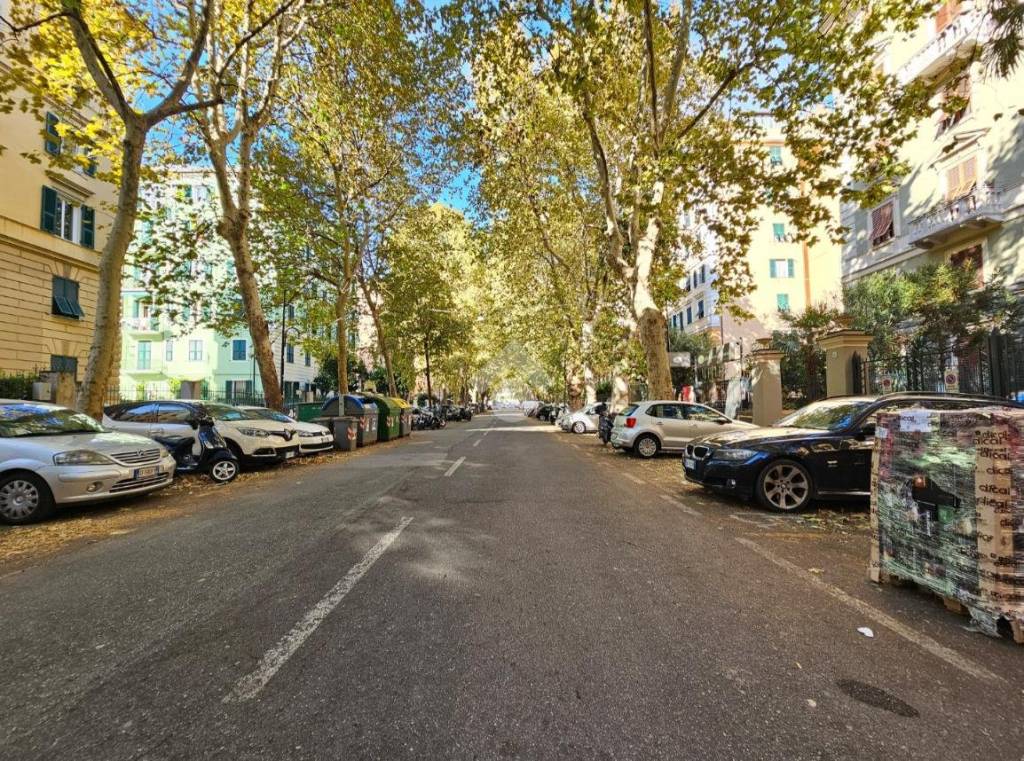 immagine annuncio 5 di 7