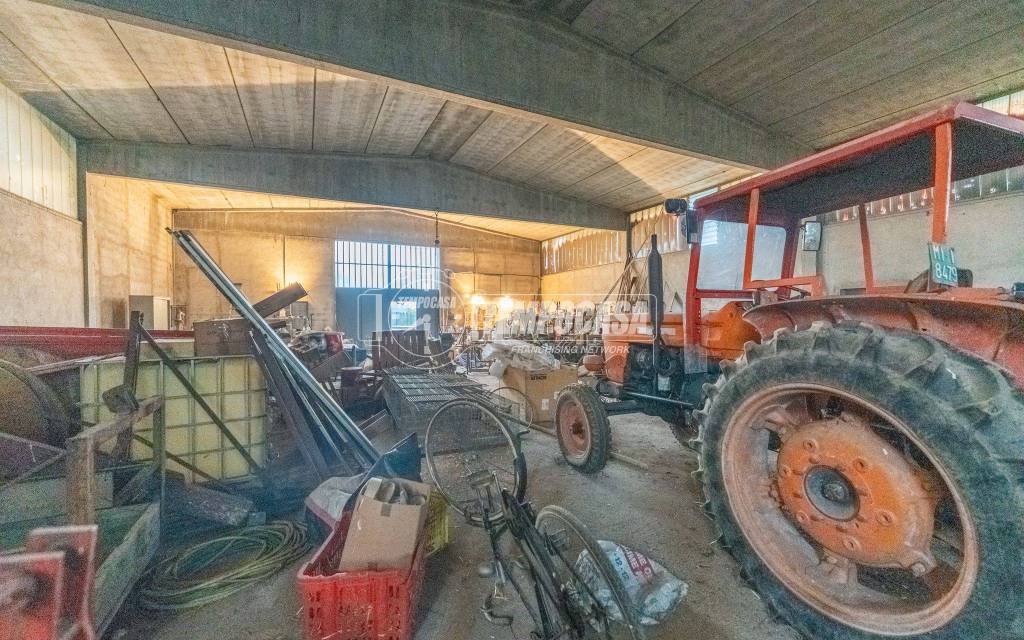 immagine annuncio 10 di 15