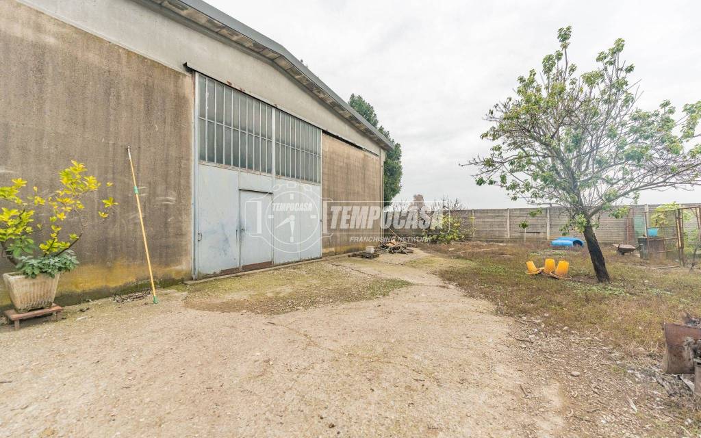 immagine annuncio 11 di 15