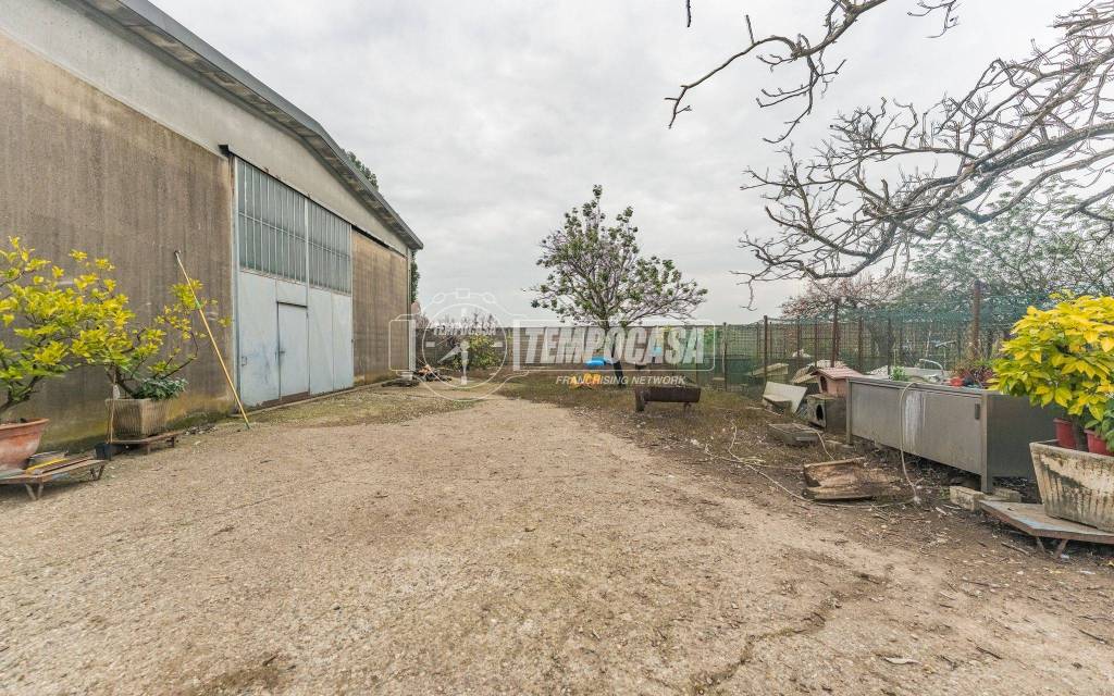 immagine annuncio 12 di 15