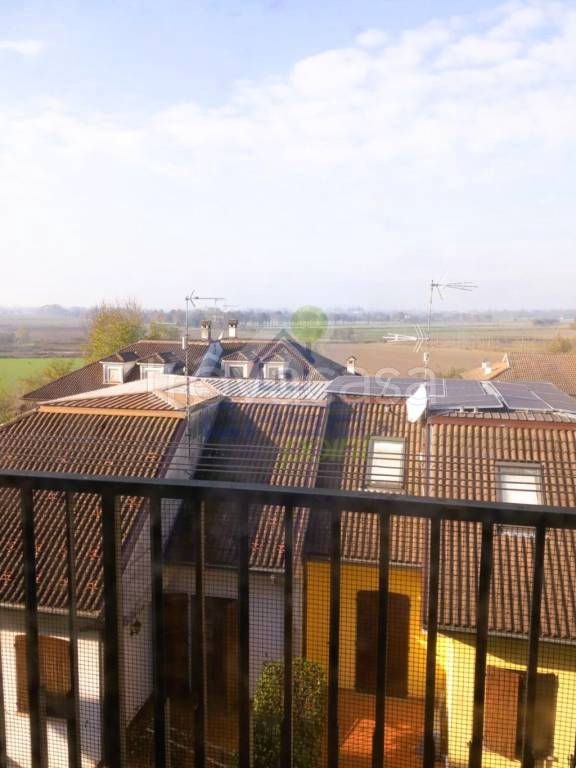 immagine annuncio 9 di 13