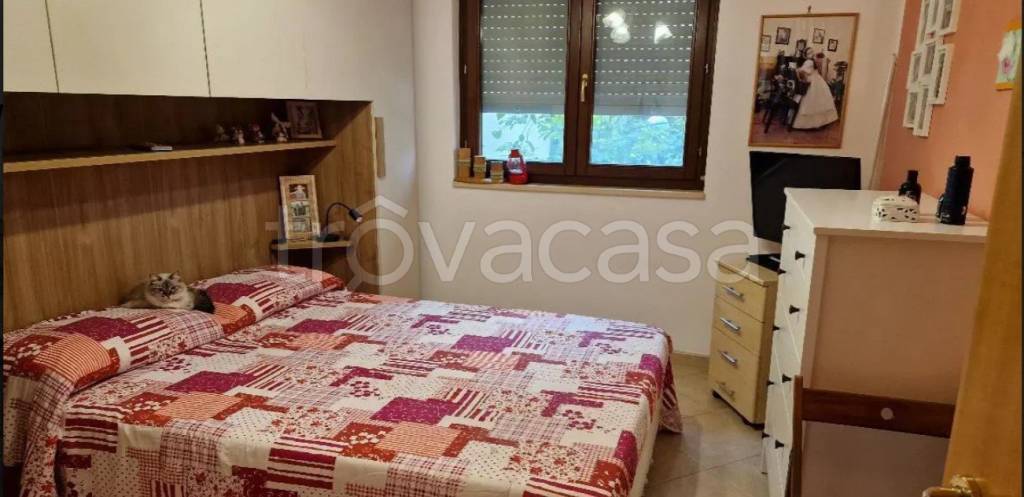 immagine annuncio 4 di 8