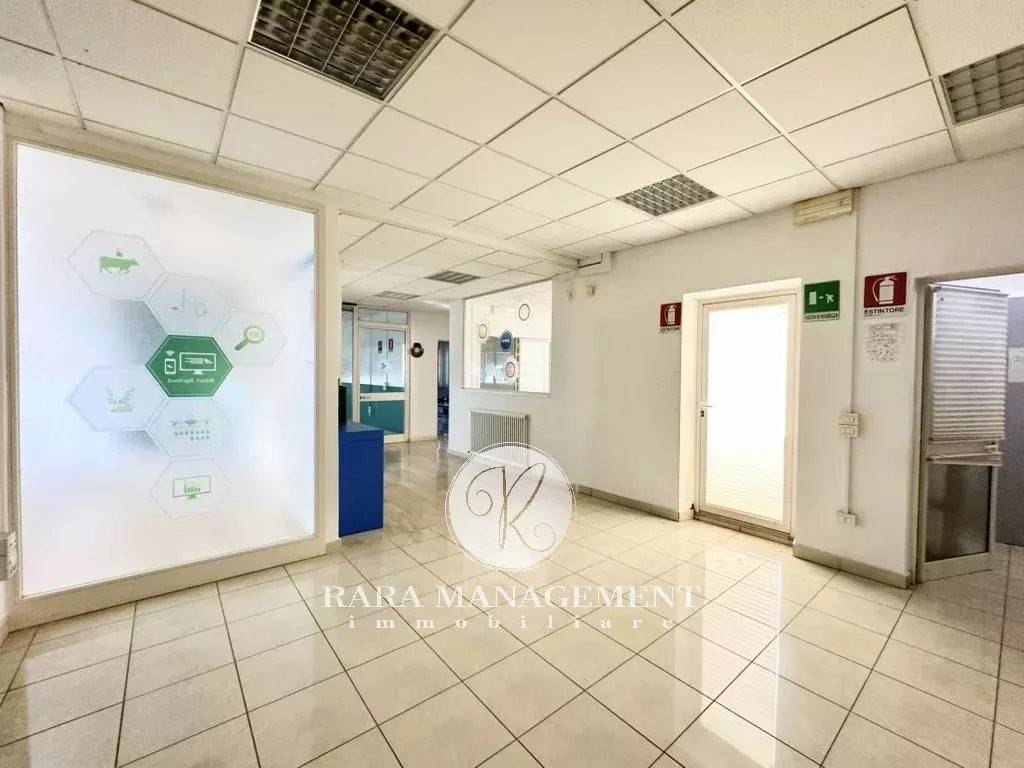 immagine annuncio 1 di 8