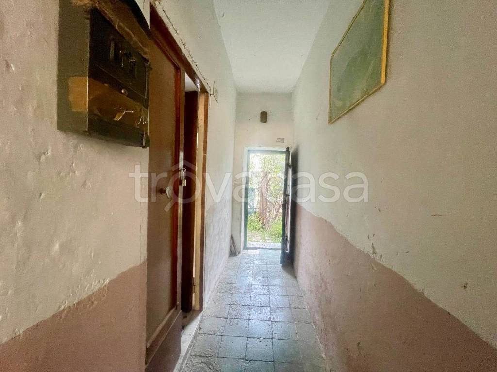 immagine annuncio 8 di 14