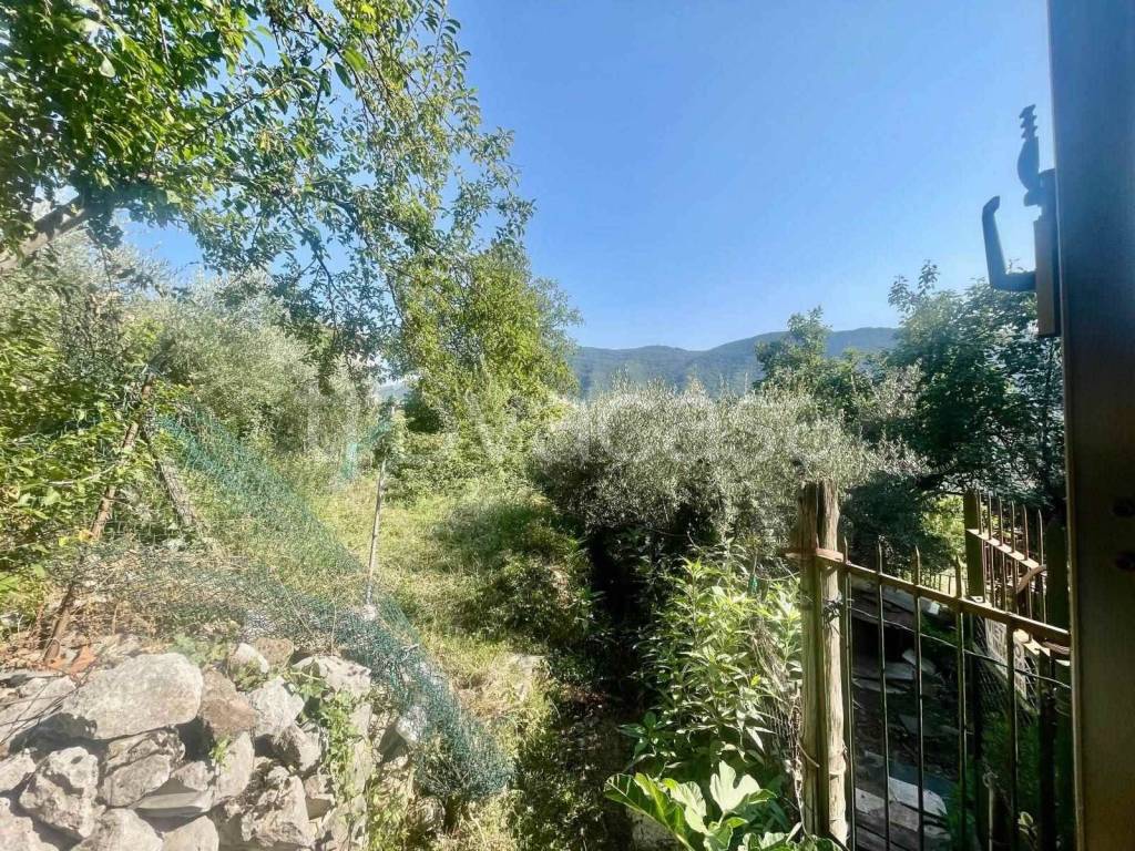 immagine annuncio 10 di 14