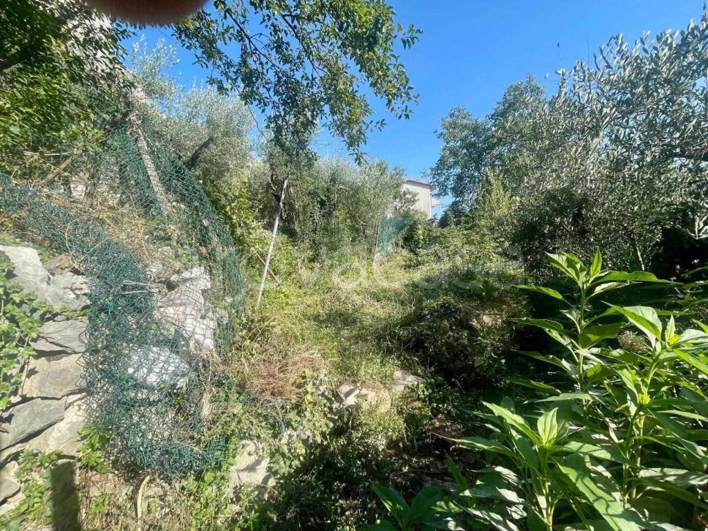 immagine annuncio 11 di 14