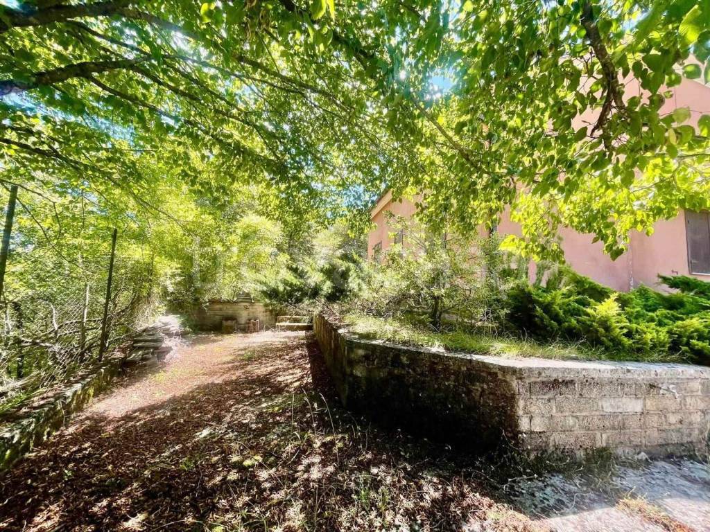 immagine annuncio 4 di 9