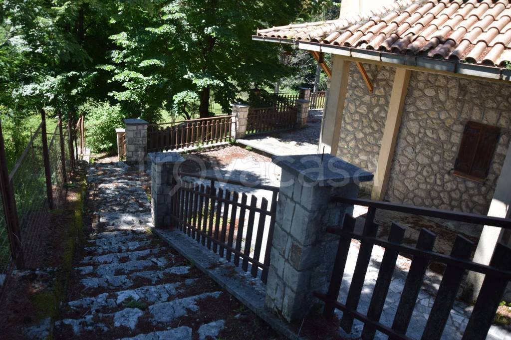 immagine annuncio 5 di 11