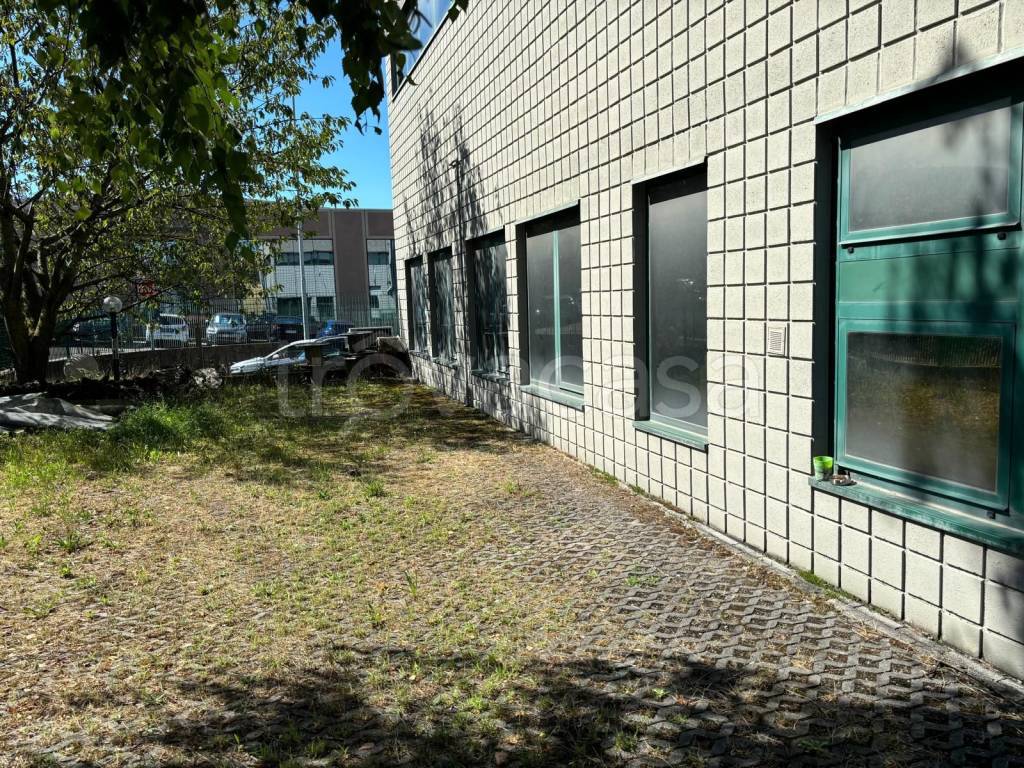 immagine annuncio 11 di 15