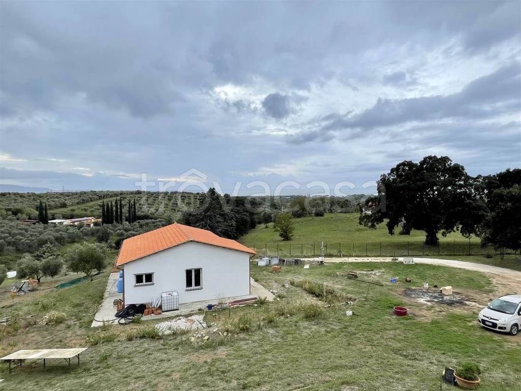 immagine annuncio 2 di 4