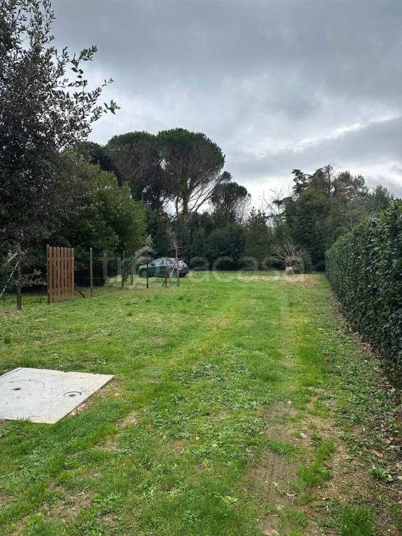 immagine annuncio 8 di 11