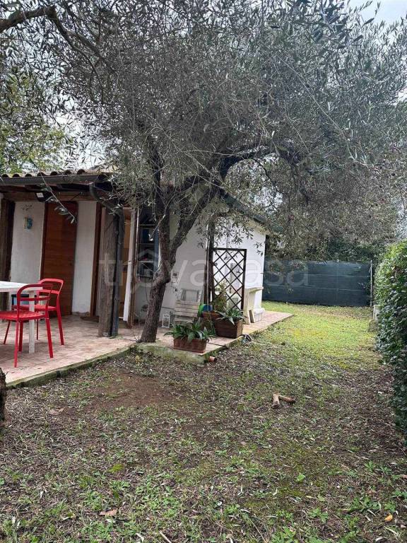 immagine annuncio 9 di 11