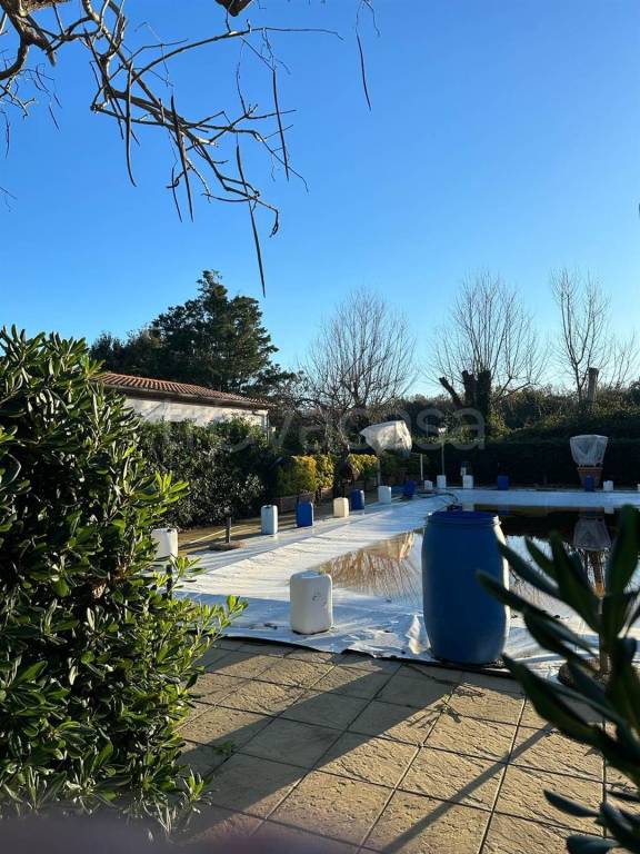 immagine annuncio 6 di 12