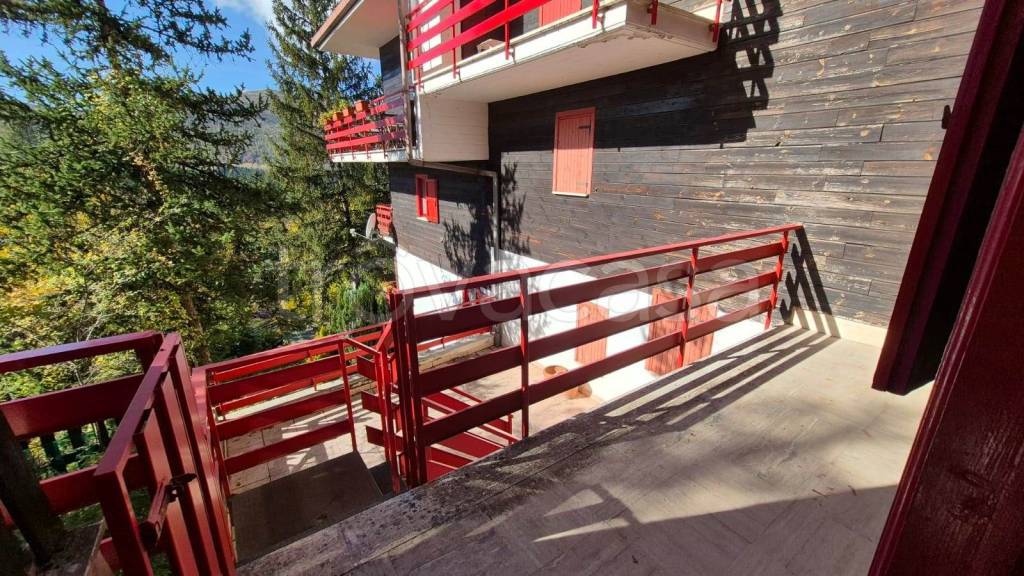 immagine annuncio 5 di 15