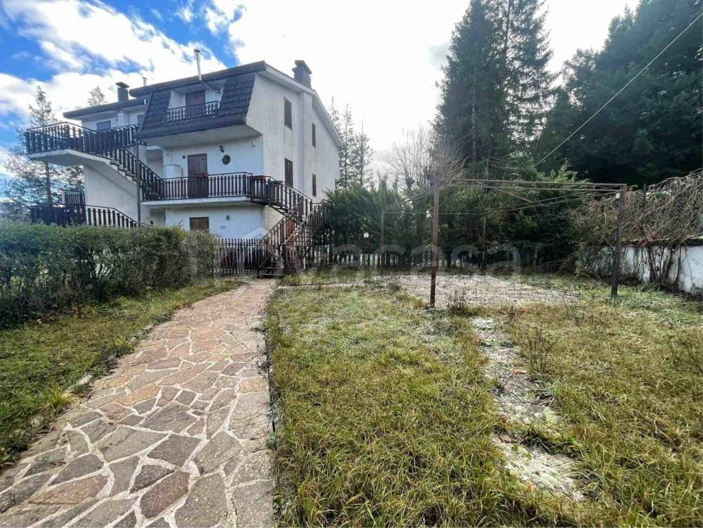 immagine annuncio 5 di 15