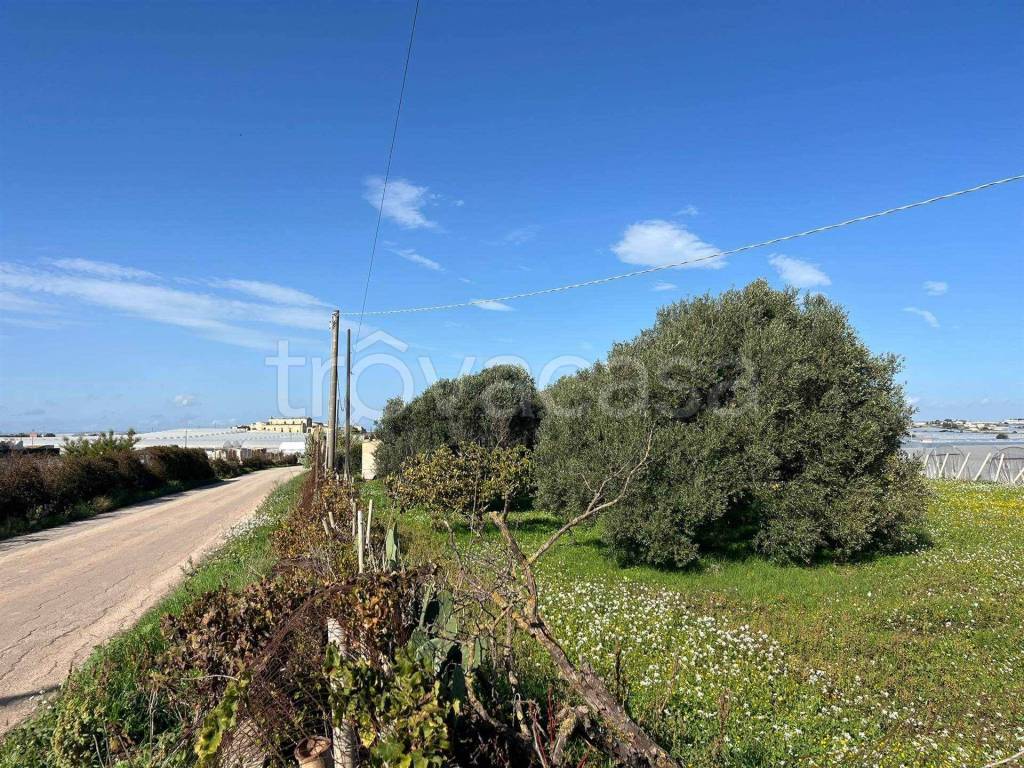 immagine annuncio 2 di 8