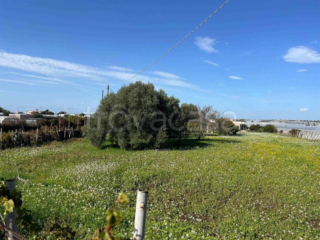 immagine annuncio 3 di 8