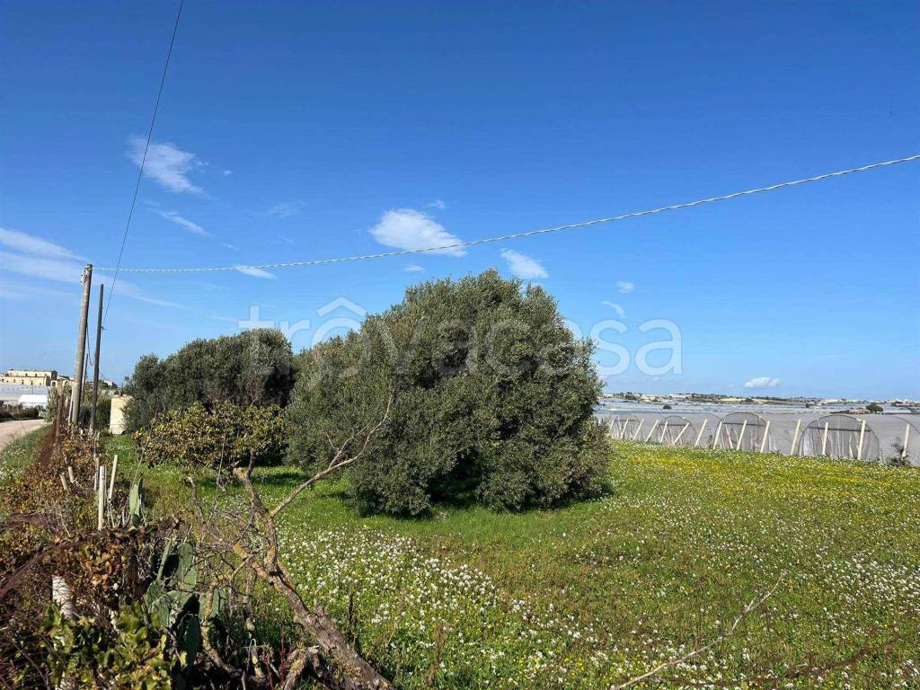 immagine annuncio 4 di 8