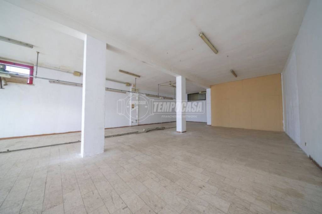 immagine annuncio 7 di 12