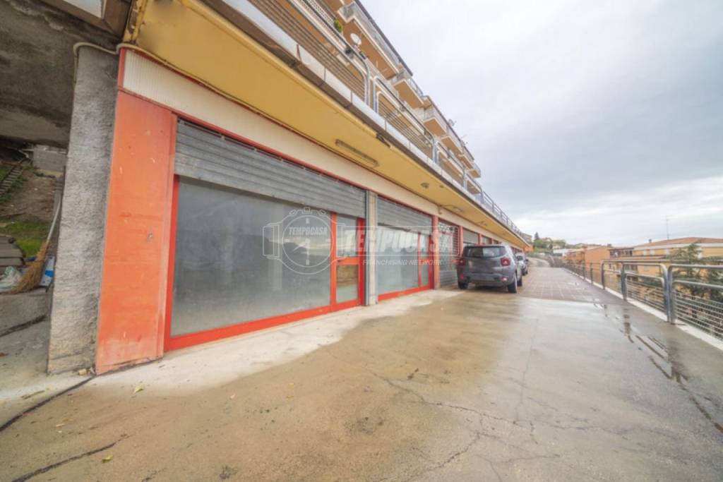 immagine annuncio 10 di 12