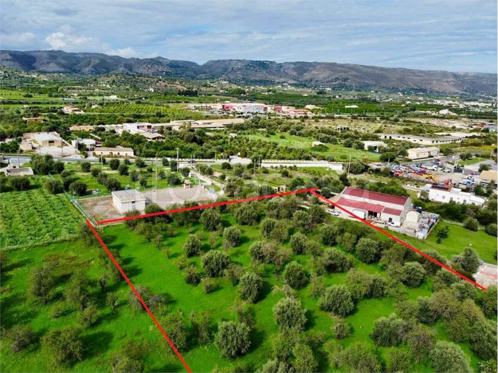 immagine annuncio 1 di 12