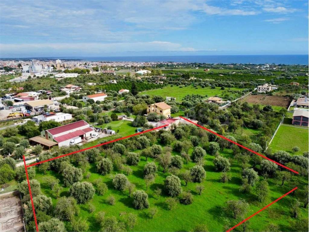 immagine annuncio 3 di 12