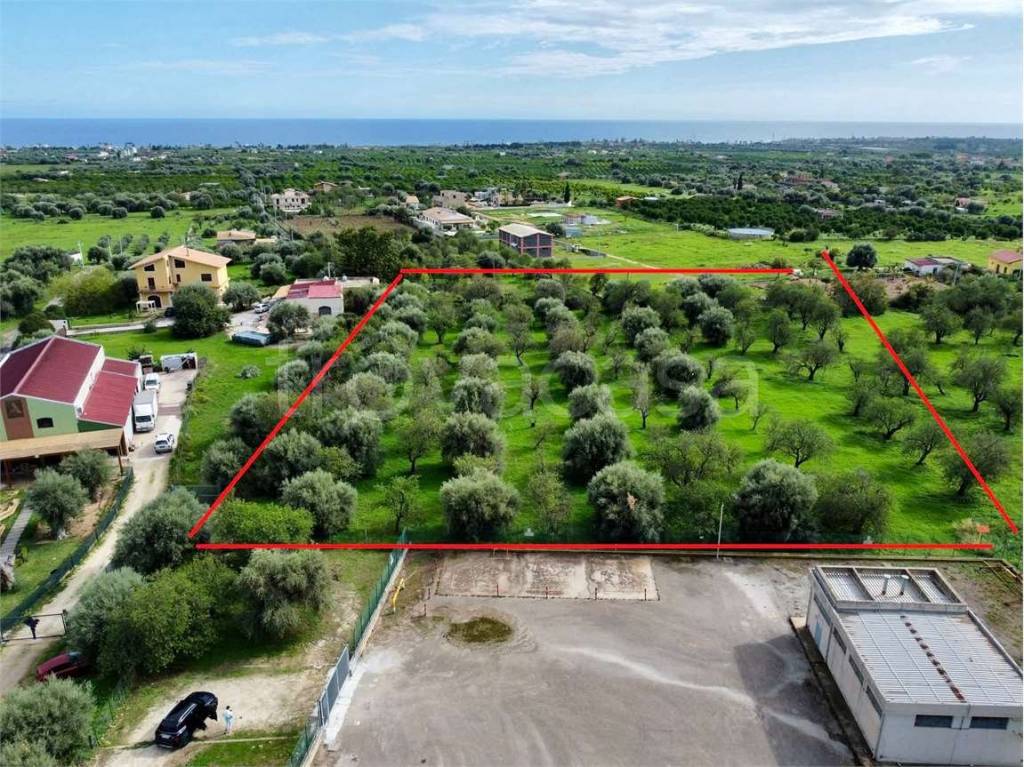 immagine annuncio 4 di 12