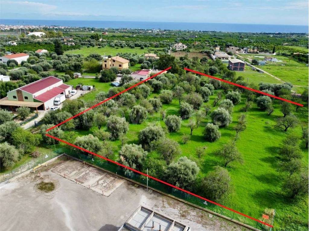 immagine annuncio 5 di 12