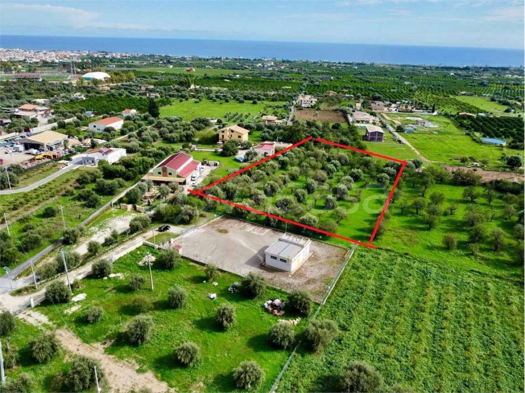 immagine annuncio 9 di 12