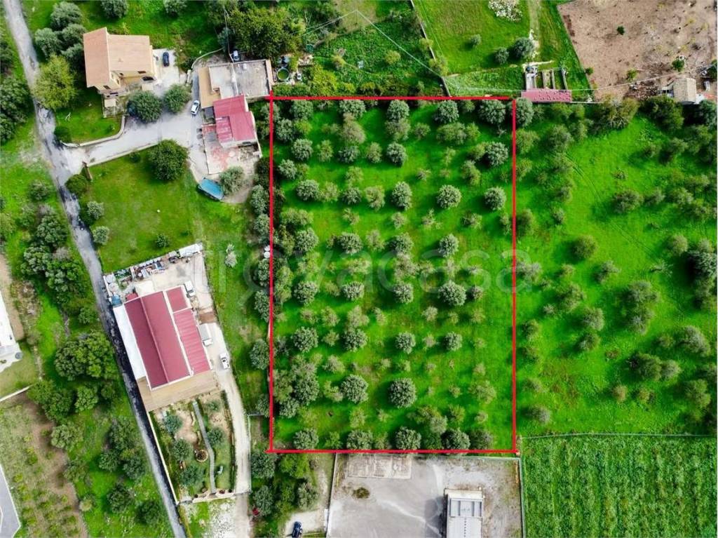 immagine annuncio 11 di 12