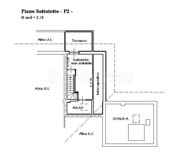 immagine annuncio 11 di 12