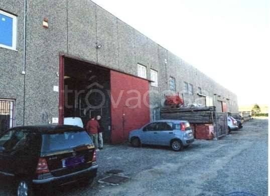 immagine annuncio 1 di 11